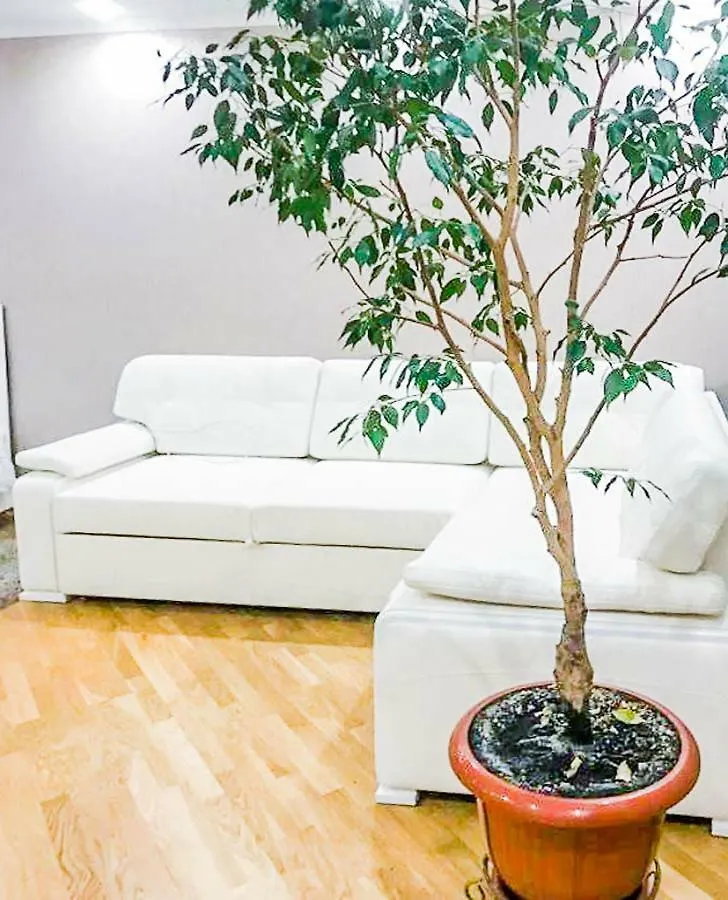 Rent-Kiev Apartment on LuxKlavdievskaya Oekraïne